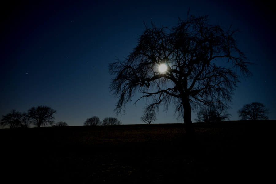 La luna del lupo