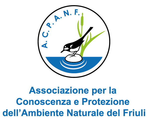 logo acpanf