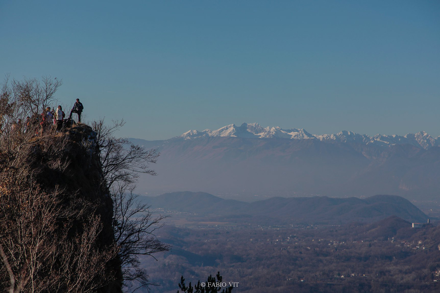 La traversata dei droni viventi