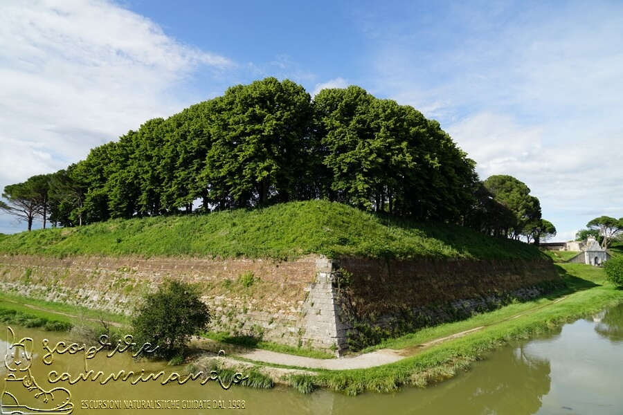 Utopie naturali