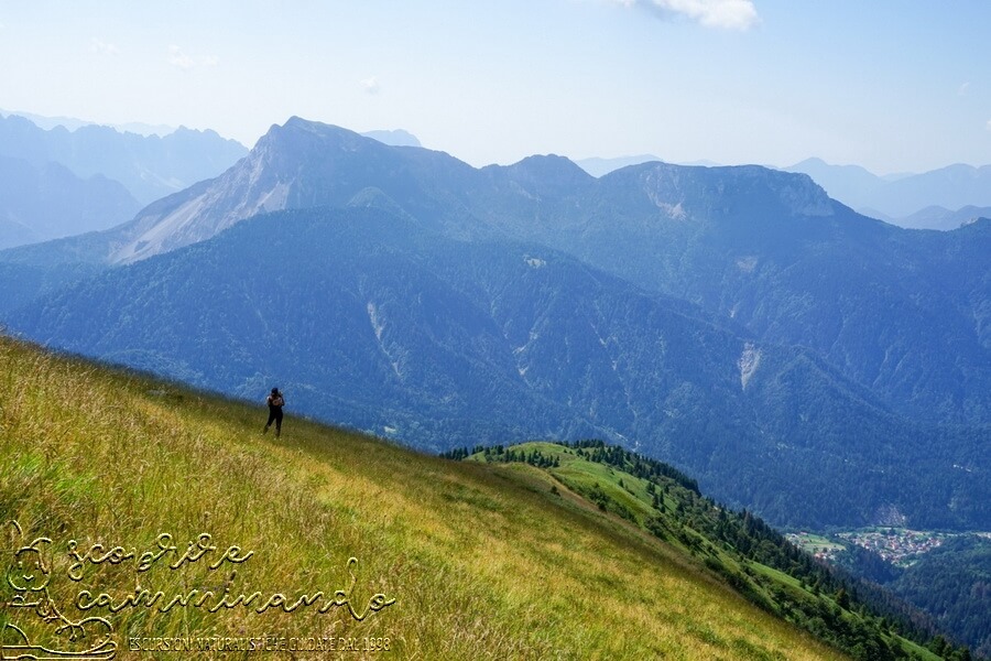 Montagne verdi