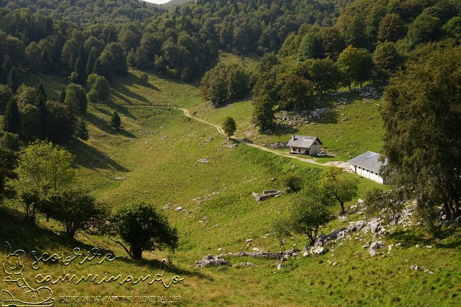 Il rovescio della montagna